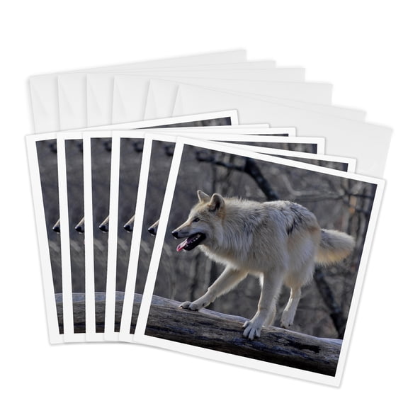 3drose, Tan Wolf Prowling 1, 6 Greeting Cards with Envelopes