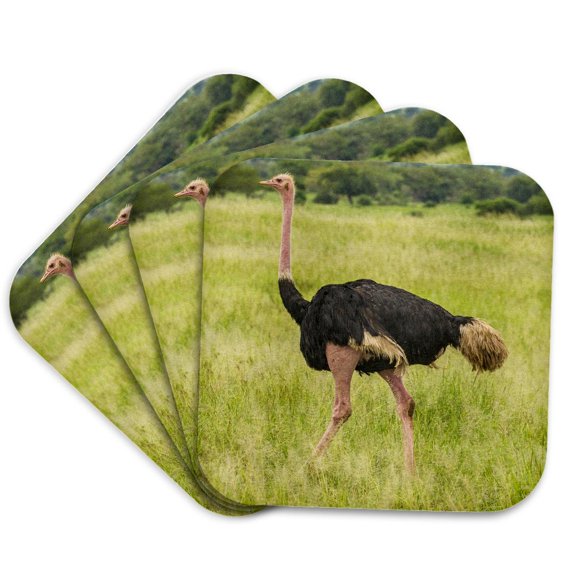 3drose, Tanzania, Tarangire National Park. Ostrich Male Close Up., Set of 4 Coasters - Soft