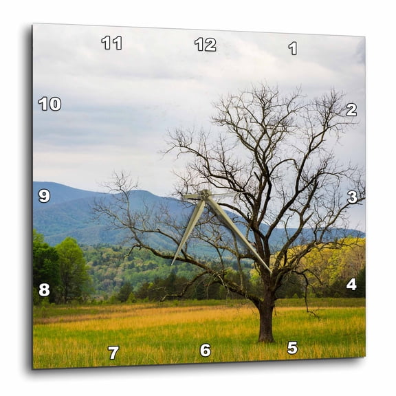 3drose, Tennessee. Lone Tree in Field at Cades Cove., 10x10 Wall Clock