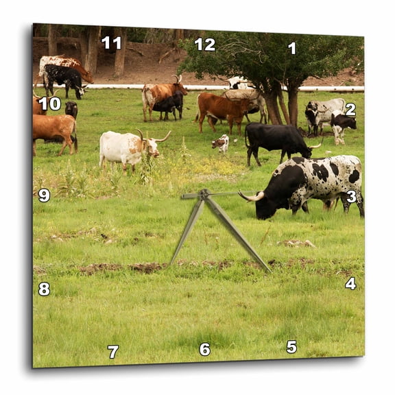 3drose, Texas Longhorn Cow Cattle in Green Pasture - Us44 Pwo0002 - Piperanne Worcester, 10x10 Wall Clock