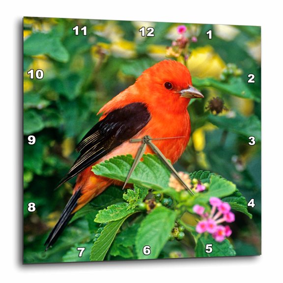 3drose, Texas, South Padre Island. Scarlet Tanager Bird - Us44 Bja0108 - Jaynes Gallery, 15x15 Wall Clock