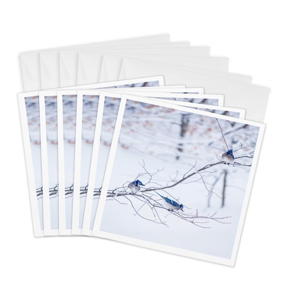 3drose, Three Blue Jays Snowy Winter Branch, 6 Greeting Cards with Envelopes
