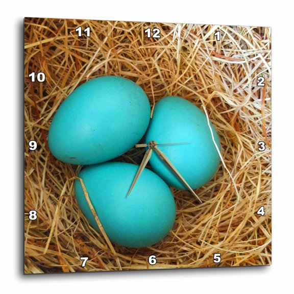 3drose, Three Blue Robin Eggs Birds Nest, 13x13 Wall Clock