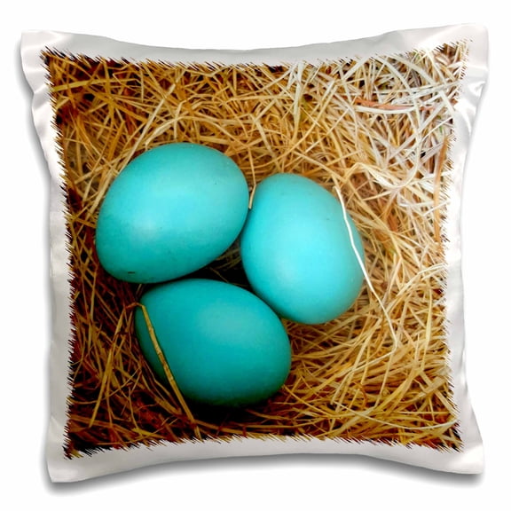 3drose, Three Blue Robin Eggs Birds Nest, 16x16 inch Pillow Case