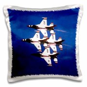 3drose, Thunderbird, 16x16 inch Pillow Case