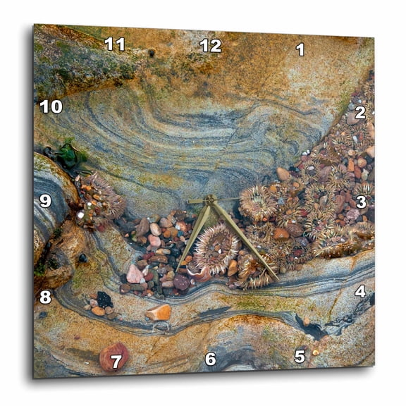 3drose, Tidal Pool, Point Lobos, California, 13x13 Wall Clock
