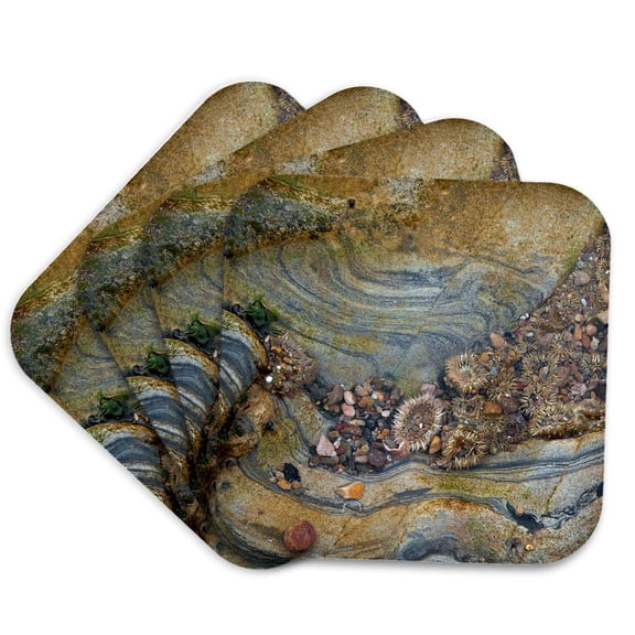 3drose, Tidal Pool, Point Lobos, California, Set of 4 Coasters - Soft
