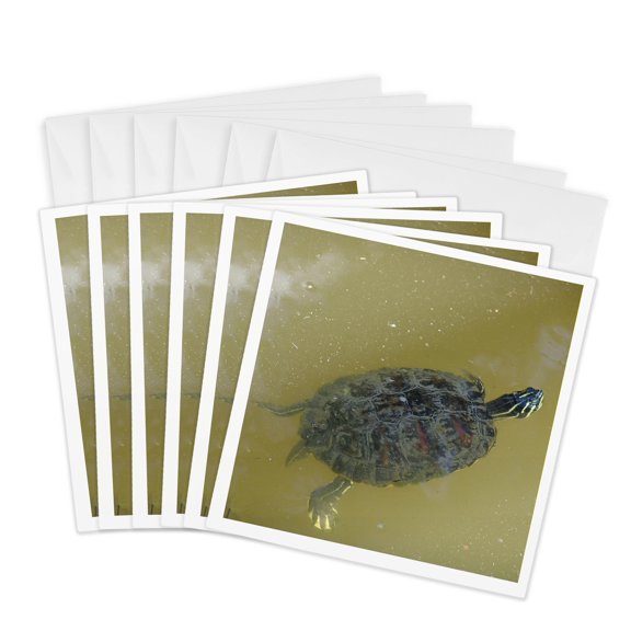 3drose, Timmy Turtle, 6 Greeting Cards with Envelopes