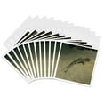 thumbnail image 1 of 3drose, Tiny Little Shark Taking a Swim at the Boston Aquarium, 12 Greeting Cards with Envelopes, 1 of 7