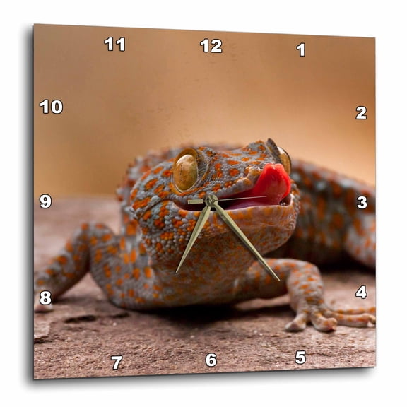 3drose, Tokay Gecko Lizard on Rock, North Carolina, Usa - Us34 Bjy0021 - Jaynes Gallery, 15x15 Wall Clock