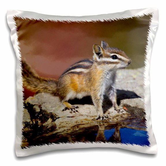 3drose, Townsends Chipmunk, 16x16 inch Pillow Case