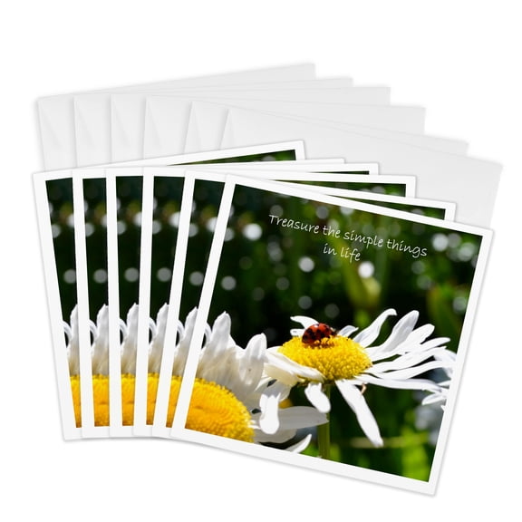 3drose, Treasure Simple Things Ladybug, 6 Greeting Cards with Envelopes