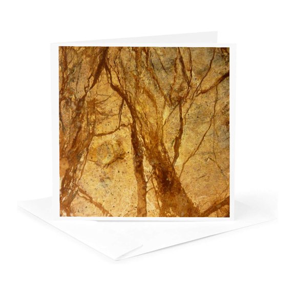 3drose, Tree Branch Modern, 1 Greeting Card with Envelope