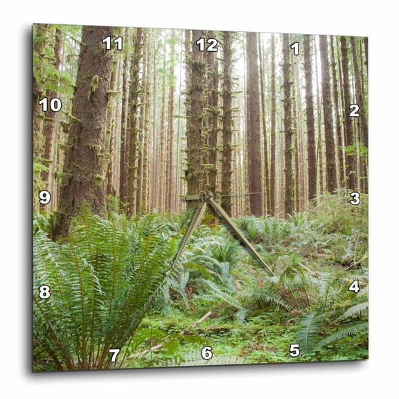 3drose, Trees in the Hoh Rainforest, Olympic N.p., Washington State., 10x10 Wall Clock