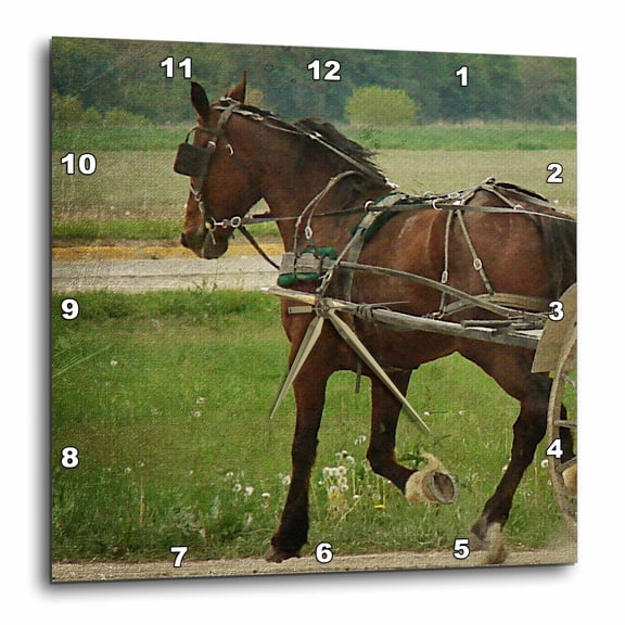 3drose, Trot on Horse, Amish Buggy Horse Trotting, 15x15 Wall Clock