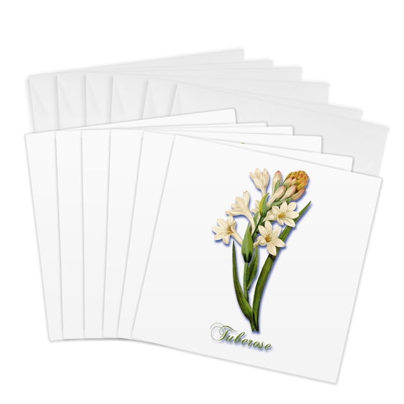 3drose, Tuberose Pretty Spring Flowering Plant Botanical Print, 6 Greeting Cards with Envelopes