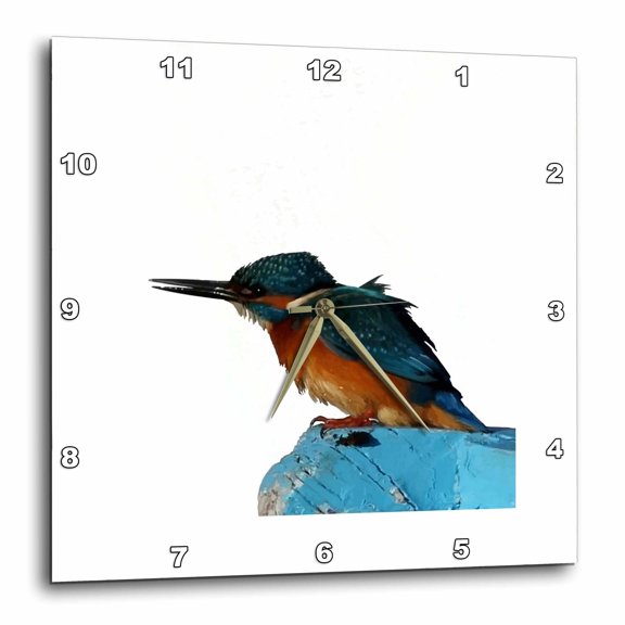 3drose, Turquoise Blue Fishing Bird Vector Art, 15x15 Wall Clock