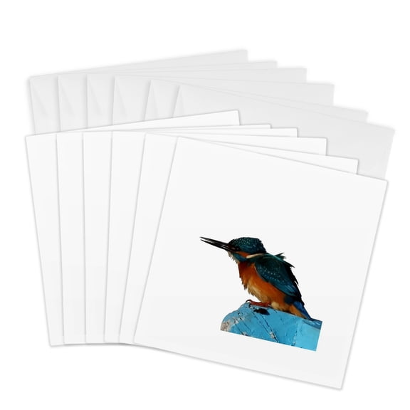 3drose, Turquoise Blue Fishing Bird Vector Art, 6 Greeting Cards with Envelopes