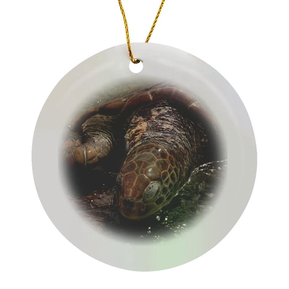 3drose, Turtle Farm, Green Sea Turtle, Grand Cayman - Ca42 Len0021 - Lisa S. Engelbrecht, Circle Porcelain Ornament