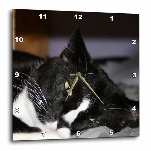 3drose, Tuxedo Cat Black and White Lying down One Eye Open, 10x10 Wall Clock