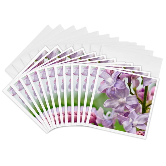 3drose, Twisted Violet Lilac Flowers, Green Background. Beauty of Spring, 12 Greeting Cards with Envelopes