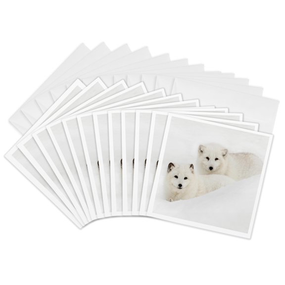 3drose, Two Arctic Foxes Blending into Snow, Montana, 12 Greeting Cards with Envelopes