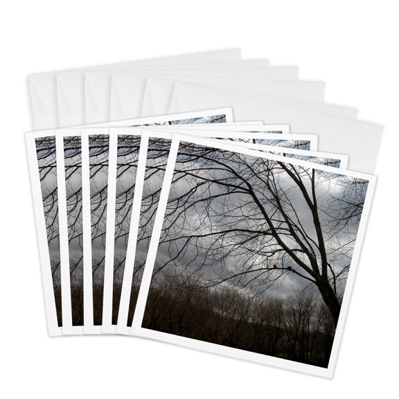 3drose, Two Dove in a Hackberry Tree, 6 Greeting Cards with Envelopes