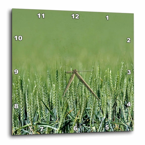 3drose, Unripe Wheat Field Agriculture, Pendleton Oregon - Us38 Dfr0085 - David R. Frazier, 15x15 Wall Clock