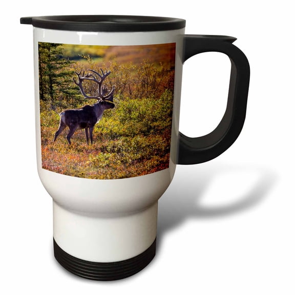3drose, Usa, Alaska. Caribou Bull in Denali Np in Late Fall., 14oz Stainless Steel Travel Mug