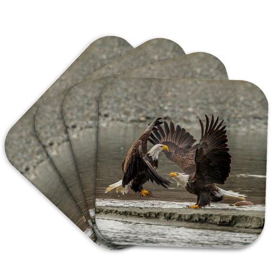 3drose, Usa, Alaska, Chilkat Bald Eagle Preserve. Bald Eagles Fighting., Set of 4 Coasters - Soft