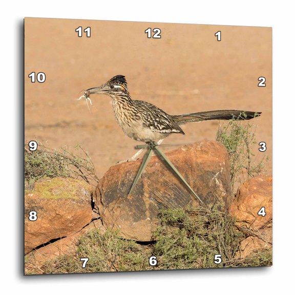 3drose, Usa, Arizona, Amado. Greater Roadrunner with Lizard., 10x10 Wall Clock
