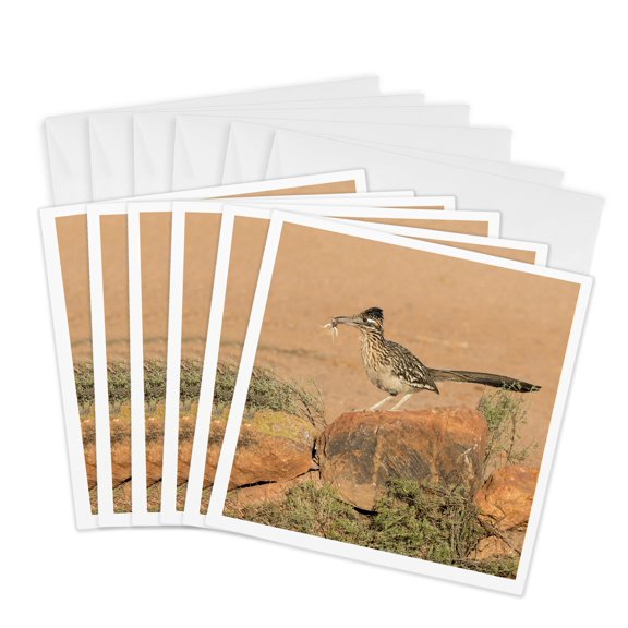 3drose, Usa, Arizona, Amado. Greater Roadrunner with Lizard., 6 Greeting Cards with Envelopes
