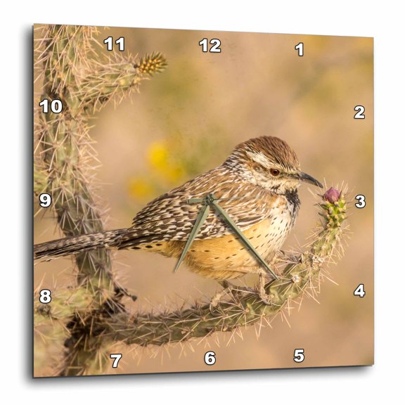 3drose, Usa, Arizona, Desert Botanic Garden. Cactus Wren Perched on Cactus., 15x15 Wall Clock