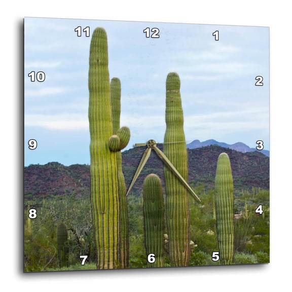 3drose, Usa, Arizona, Organ Pipe Cactus National Monument. Saguaro Cactus, 15x15 Wall Clock