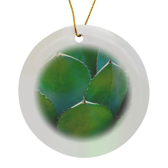3drose, Usa, Arizona. Succulent Plant in Phoenix Botanical Gardens., Circle Porcelain Ornament