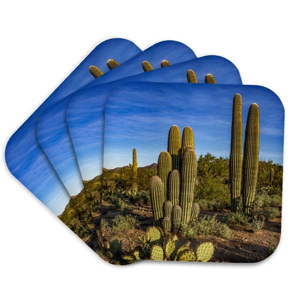 3drose, Usa, Arizona, Tucson Mountain Park, Set of 4 Coasters - Soft