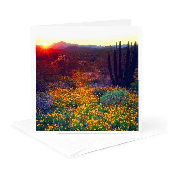 3drose, Usa, Arizona, Wildflowers and Cacti in Organ Pipe National Monument., 1 Greeting Card with Envelope
