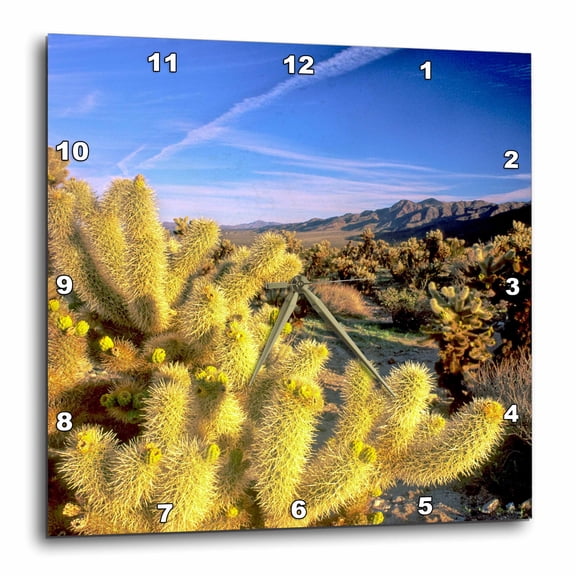 3drose, Usa, California, Joshua Tree National Park - Us05 Rdu0004 - Richard Duval, 10x10 Wall Clock