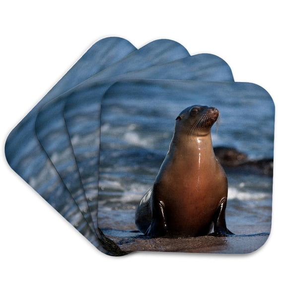 3drose, Usa, California, La Jolla. Sea Lion on Beach., Set of 4 Coasters - Soft