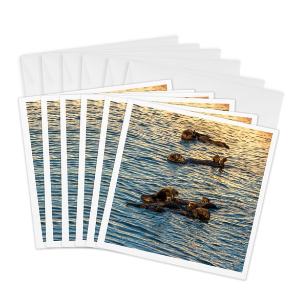 3drose, Usa, California, Morro Bay. Sea Otters Resting as a Group., 6 Greeting Cards with Envelopes