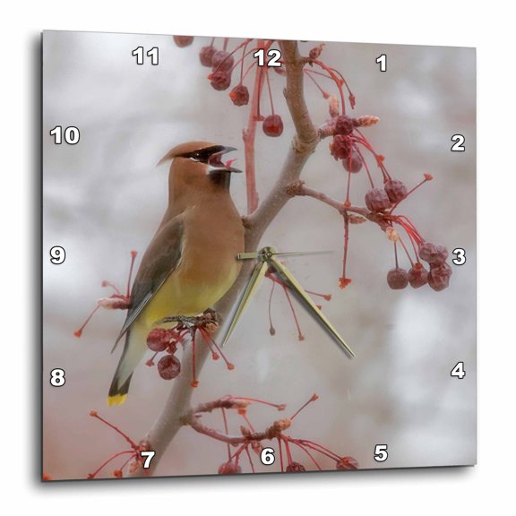 3drose, Usa, California, Owens Valley. Cedar Waxwing on Pear Tree., 10x10 Wall Clock