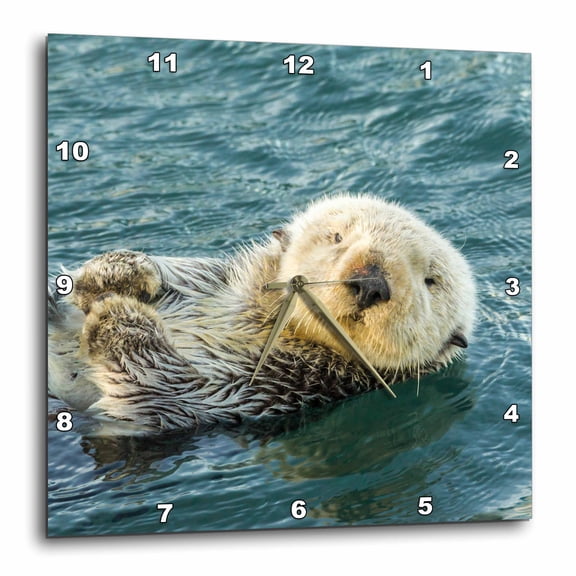 3drose, Usa, California, San Luis Obispo County. Sea Otter Close Up., 15x15 Wall Clock