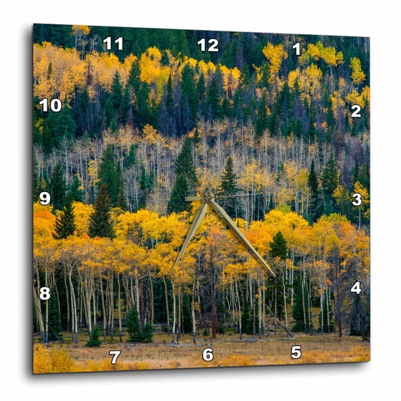 3drose, Usa, Colorado. Aspens and Evergreens in Rocky Mountain Np., 15x15 Wall Clock
