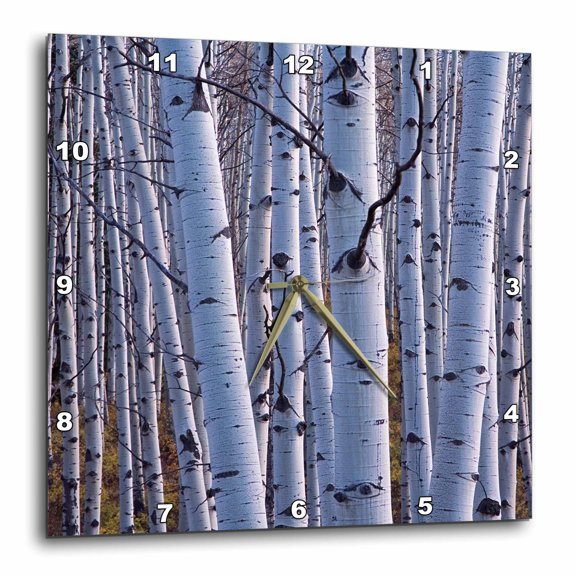 3drose, Usa, Colorado. Aspens in Gunnison National Forest., 15x15 Wall Clock