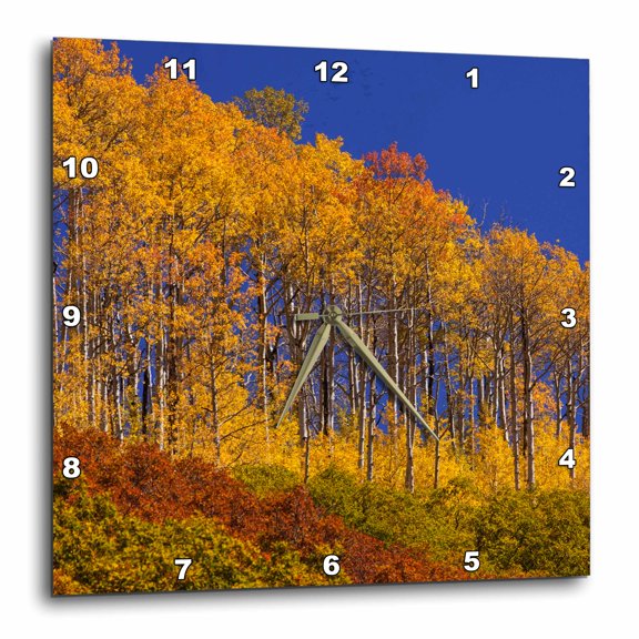 3drose, Usa, Colorado, San Juan National Forest. Aspens in Autumn Color., 15x15 Wall Clock
