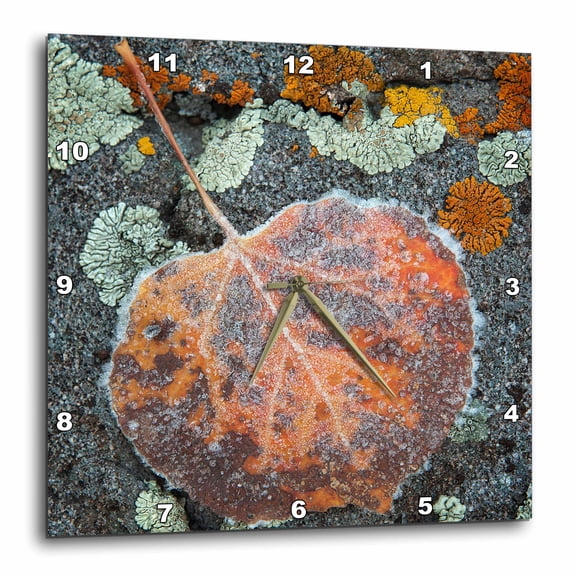 3drose, Usa, Colorado, Uncompahgre National Forest. Frozen Aspen Leaf., 10x10 Wall Clock