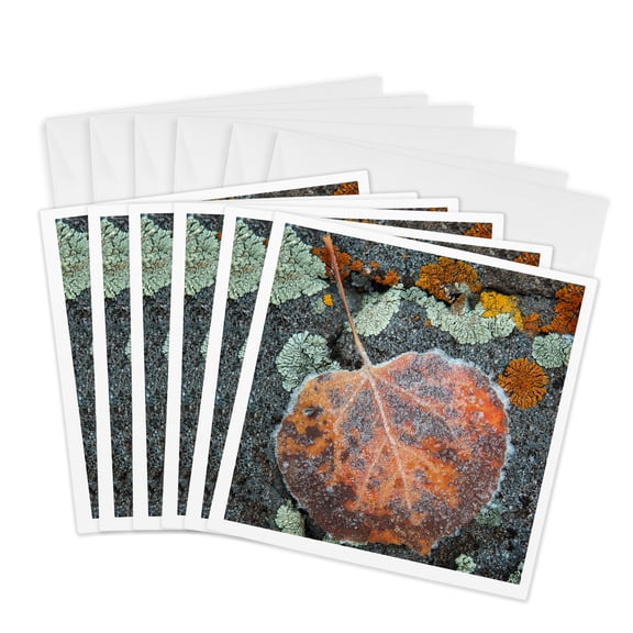 3drose, Usa, Colorado, Uncompahgre National Forest. Frozen Aspen Leaf., 6 Greeting Cards with Envelopes