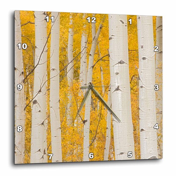 3drose, Usa, Colorado, White River National Forest, Aspen., 10x10 Wall Clock