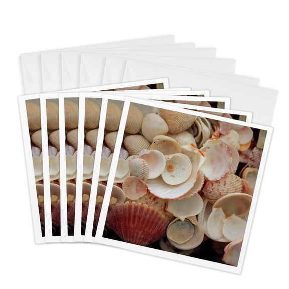 3drose, Usa, Florida. Close up of Shells on Santa Rosa Beach., 6 Greeting Cards with Envelopes