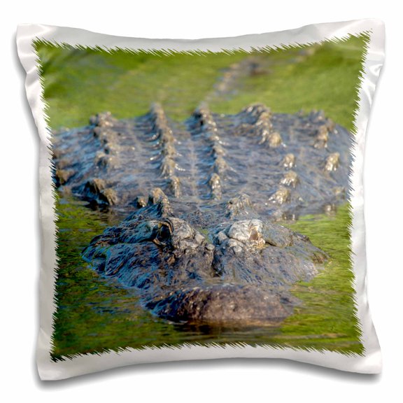 3drose, Usa, Florida, Orlando, Alligator, Gatorland., 16x16 inch Pillow Case